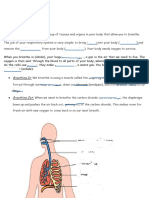 EXAM BODY SISTEMS - BREATHING & CIRCULATORY SYSTEM 5º Primaria Natural Science