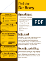 robbe de boey - one pager