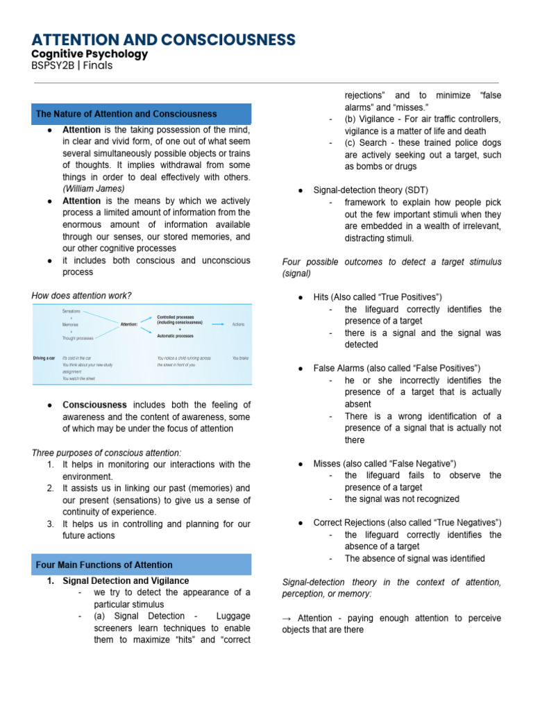 Attention visual data 4