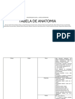 Tabela de Anatomia III