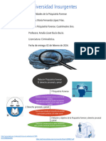 infografia psiquiatria forense 