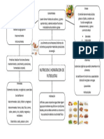 Nutricion e Hidratacion