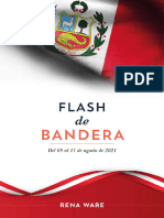 PU 2021-07 PU Flash de Bandera Completo