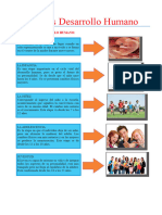 Las-Etapas-Desarrollo-Humano-para-Tercero-de-Primaria (1)