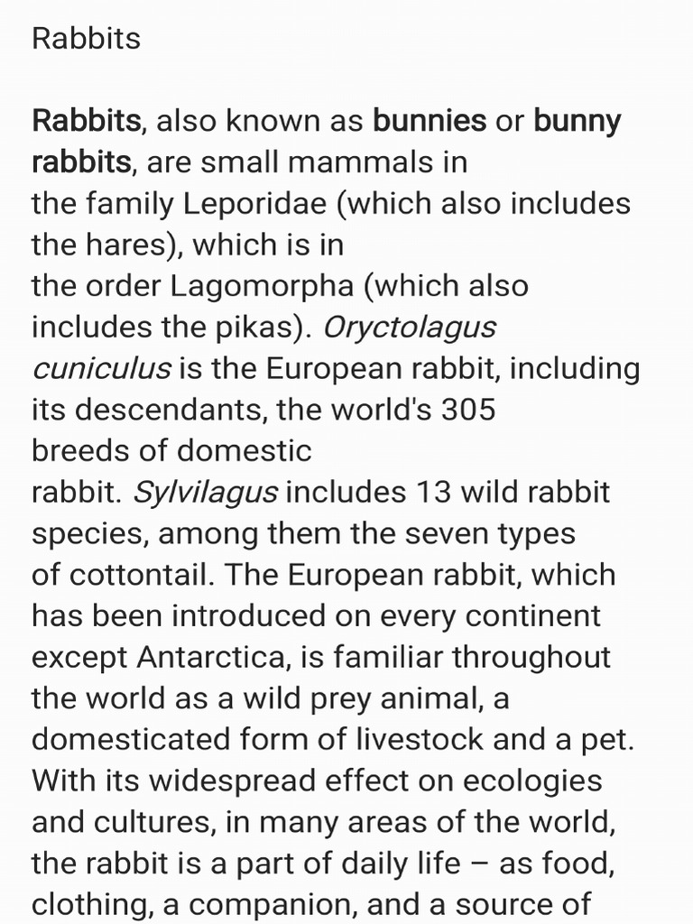 Rabbits | PDF