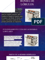 diapositivas lobulos-1