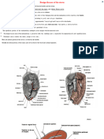 Benign Diseases of The Uterus