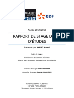Rapport Du Stage WANG V3