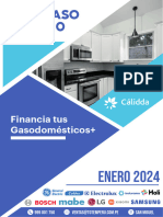 Caso 2 de Enero