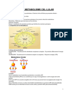 Copia de Metabolisme