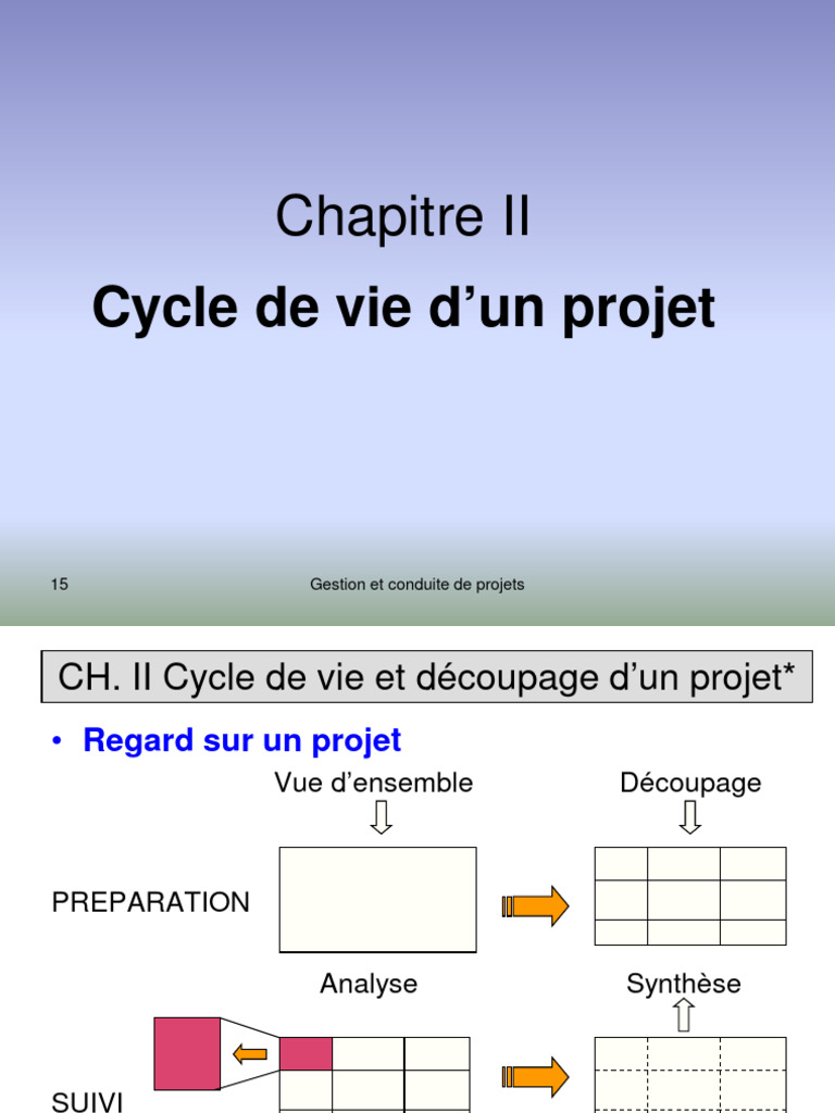 Cycle de Vie d'un Projet: Guide Complet | PDF | Gestion de projet