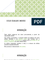 2 - Ciclo Celular e Meiose