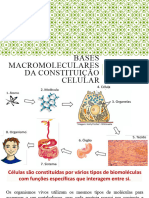 02 - Bases Macromoleculares