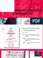 (5) Classification of PROKARYOTES