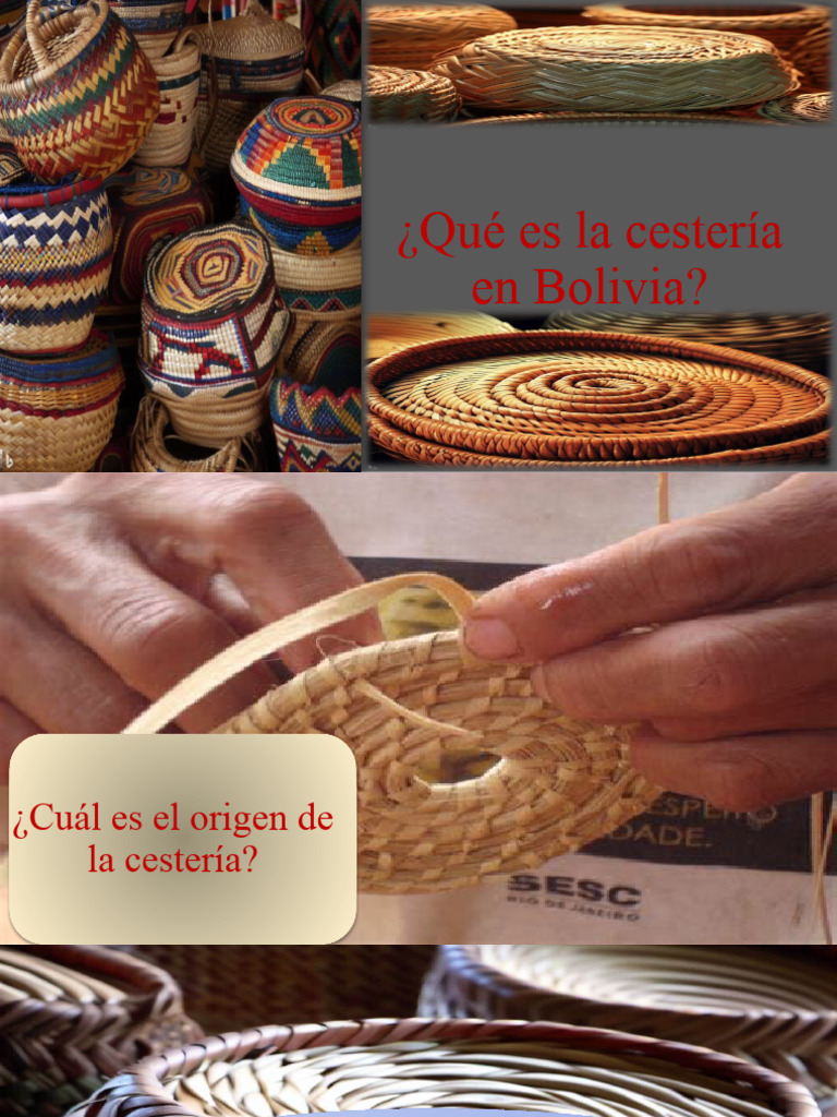 Qué Es La Cestería en Bolivia | PDF