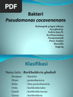 Download Bakteri pseudomonas cocovenenans by zanketsu_88 SN73075659 doc pdf