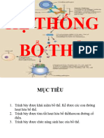 6. Bổ thể (SV)