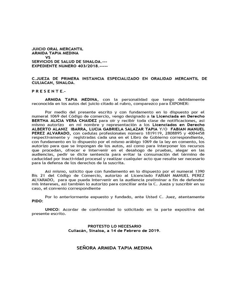 Autorización de representación legal | PDF