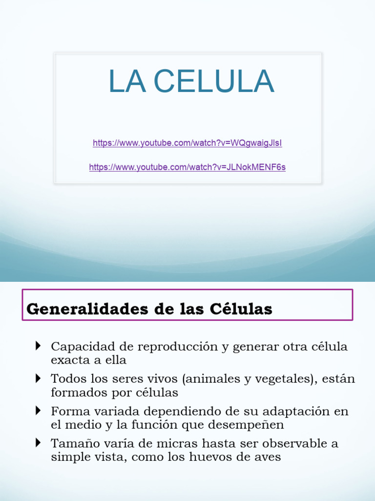 Estructura y Función de las Células | PDF | Biología Celular) | Citoplasma
