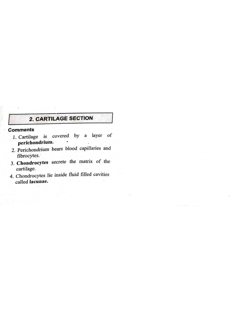 B.SC 2nd Sem - Zoology Practical ?? | PDF