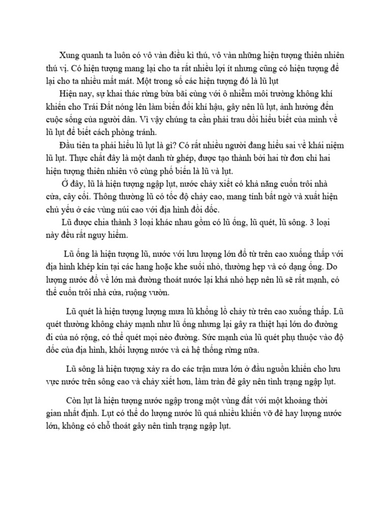 Lũ L T | PDF