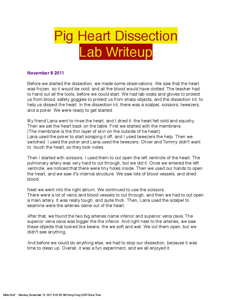 pig heart dissection lab writeup Heart Angiology
