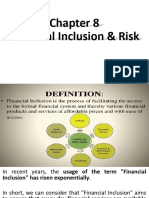 Financial Inclusion & Risk