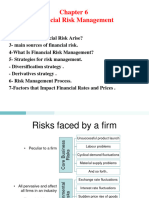 Financial Risk MGT