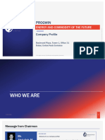 Progwin Limited - Company Profile 27032024