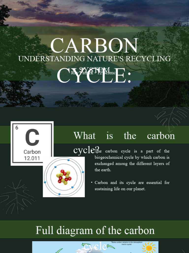 Understanding the Carbon Cycle | PDF
