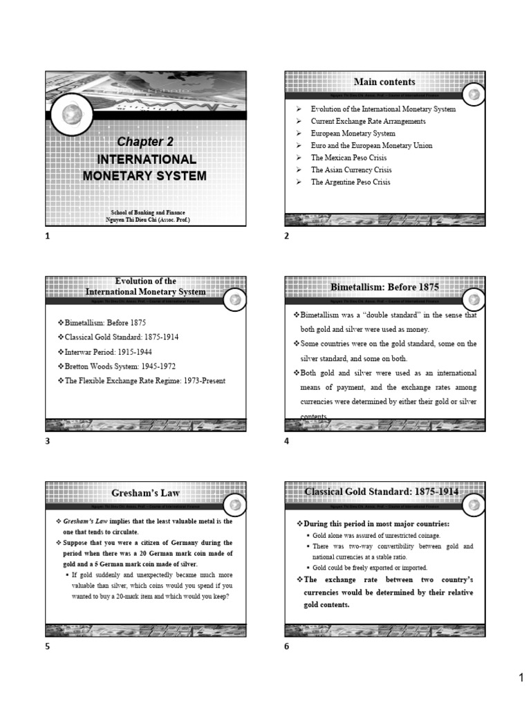 Chapter 2.international Monetary System | PDF | Exchange Rate | Euro