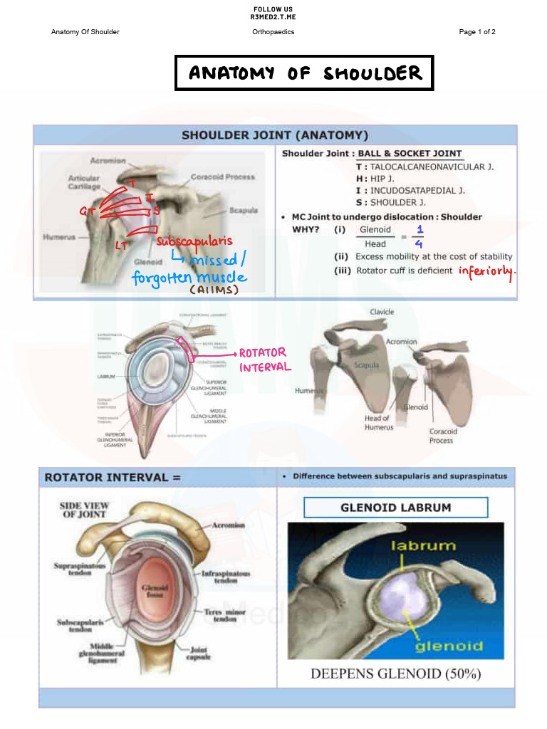 Comprehensive Orthopedic Notes PDF | PDF | Orthopedic Surgery | Shoulder