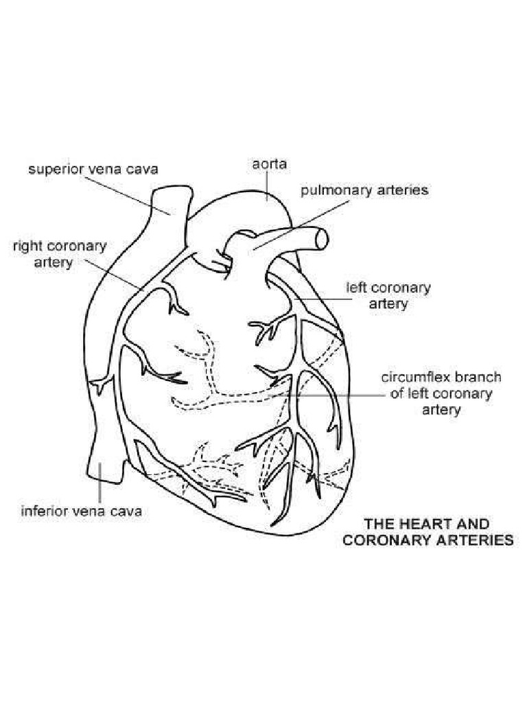 Cag Report Diagram Pdf