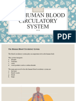 The Human Blood Circulatory System - 副本