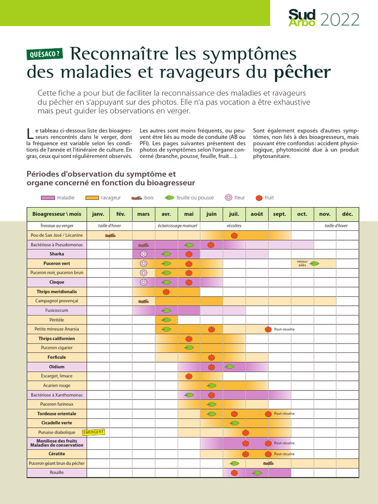 Maladies et ravageurs du pêcher PDF Pêche Agriculture — free download