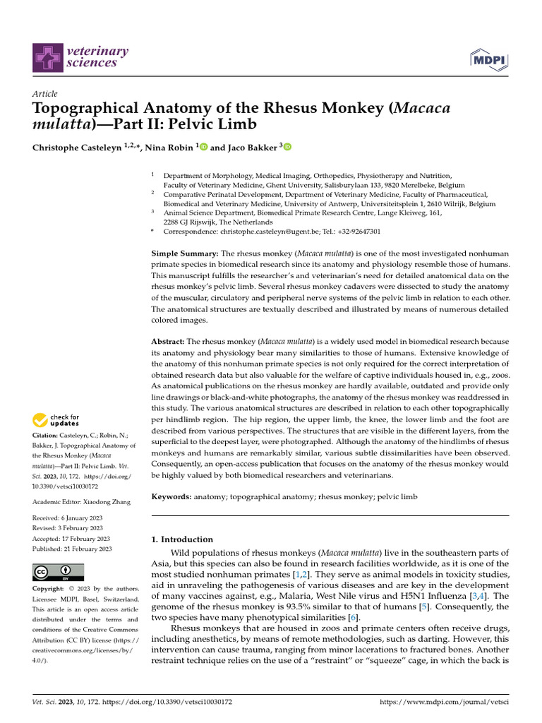 Anatomy of The Rhesus Monkey Macaca Mulatta | PDF | Soft Tissue | Limbs ...