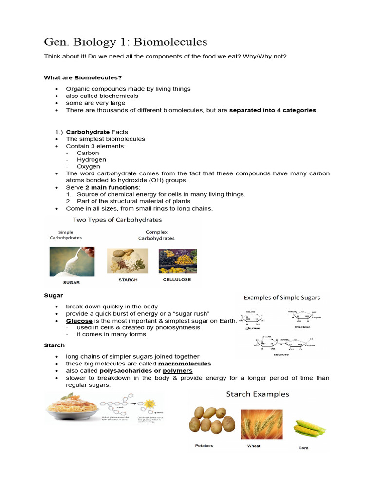 Biomolecules Notes | PDF | Lipid | Dna