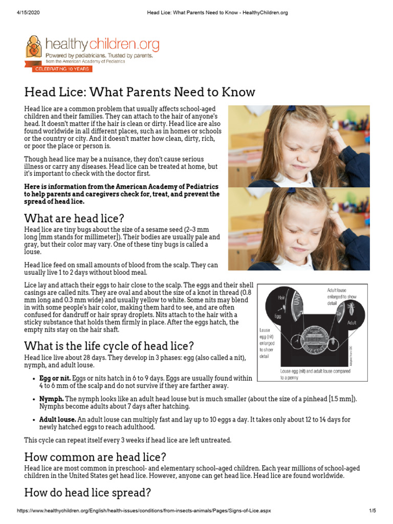 AAP Head Lice 2017 | PDF