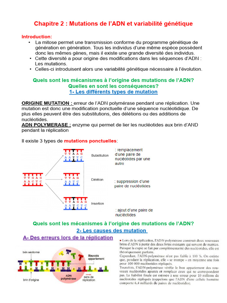 Mutations de l'ADN et Variabilité Génétique | PDF | Mutation | ADN