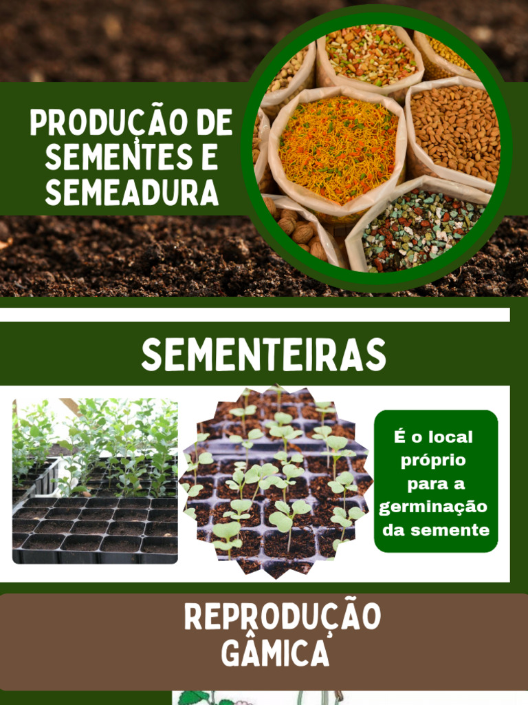 Aula de Sementes | PDF