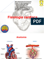 Seminario Fisiologia Cardiovascular