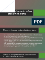 Effect of Elevated Carbon Dioxide On Plant