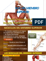 2. Musculos Del Miembro Superior 2 (1)