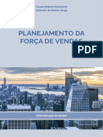 M2 Planejamento Da Forca de Vendas