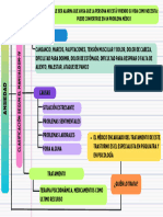 13 - Ansiedad (Organizador Gráfico)