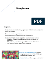 3-sitoplasma_stu_23