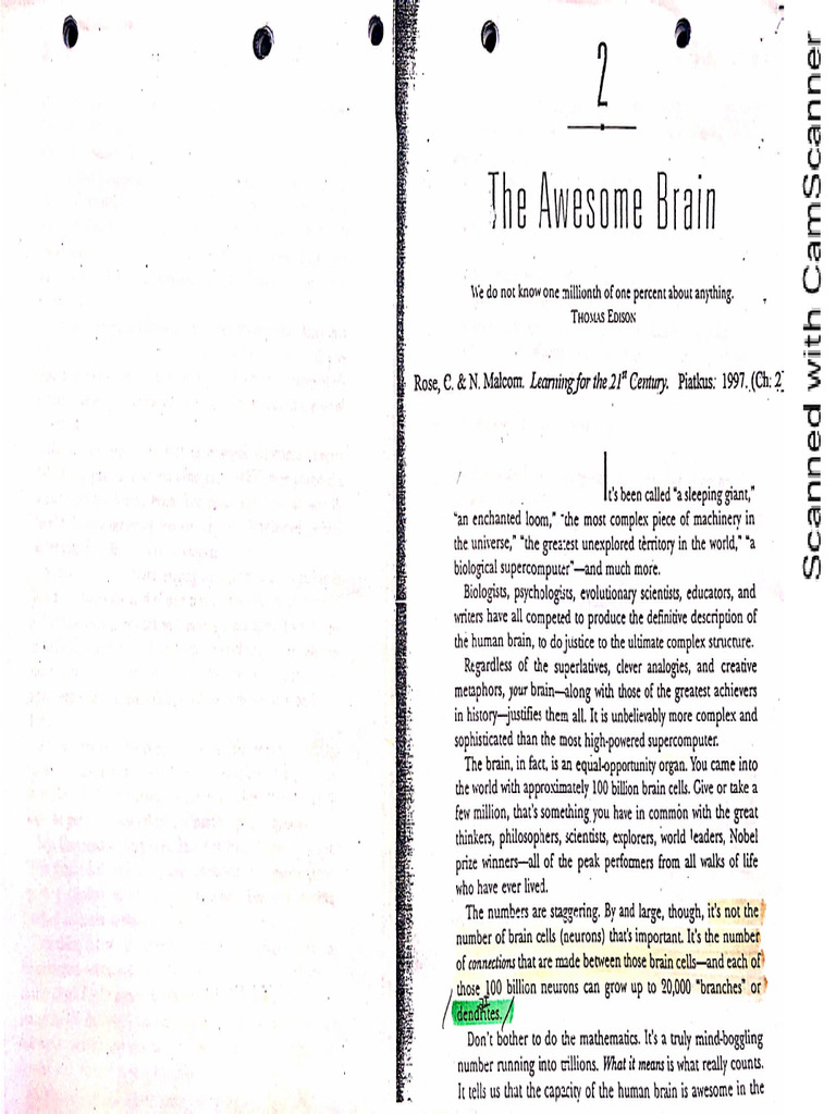 The Awesome Brain | PDF