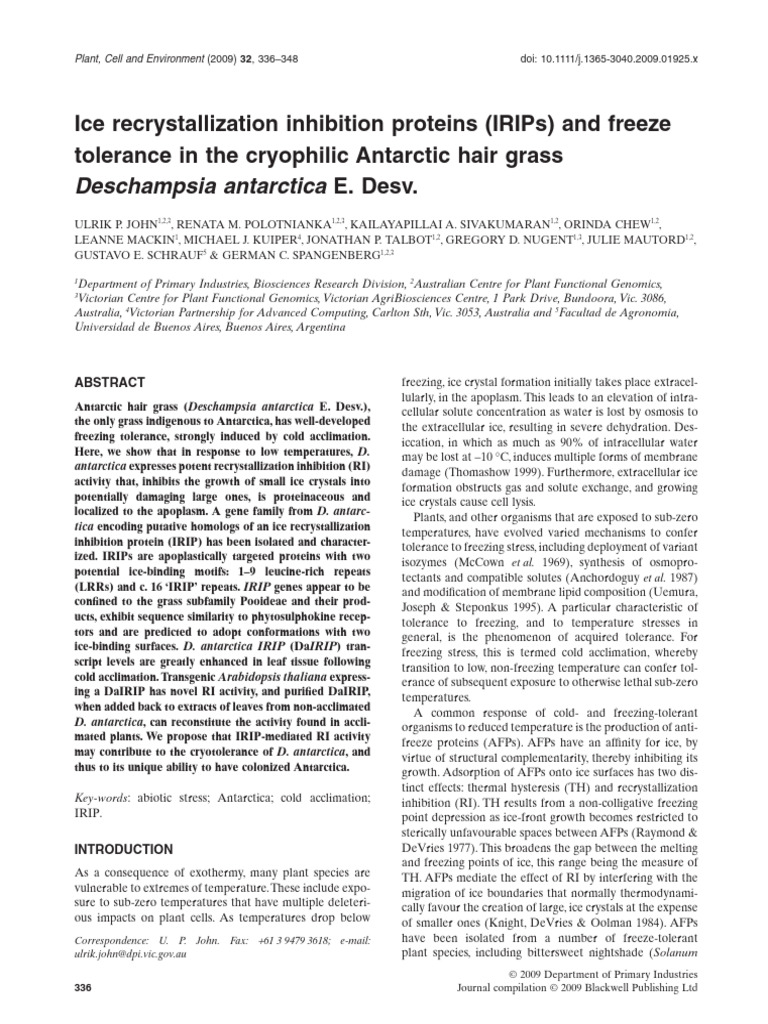Irip Deschampsia | PDF | Complementary Dna | Amino Acid