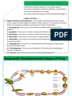 Gametogenesis in Frog