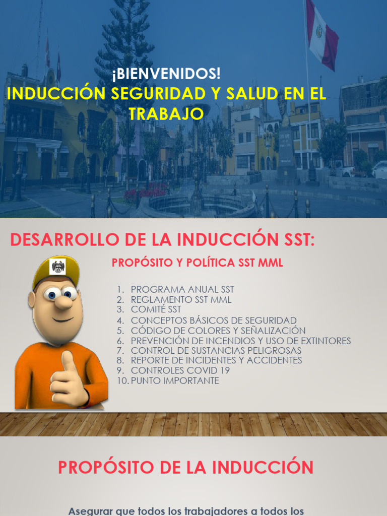 Inducción Seguridad Y Salud En El Trabajo Pdf Combustibles Incendios